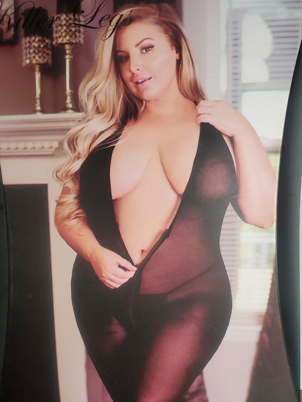 Plus Size Sheer Zipper Front Bodysuit in Black